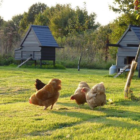 The Oaks Glamping - Magpie Half Shepherds Hut Hotell Colkirk Eksteriør bilde