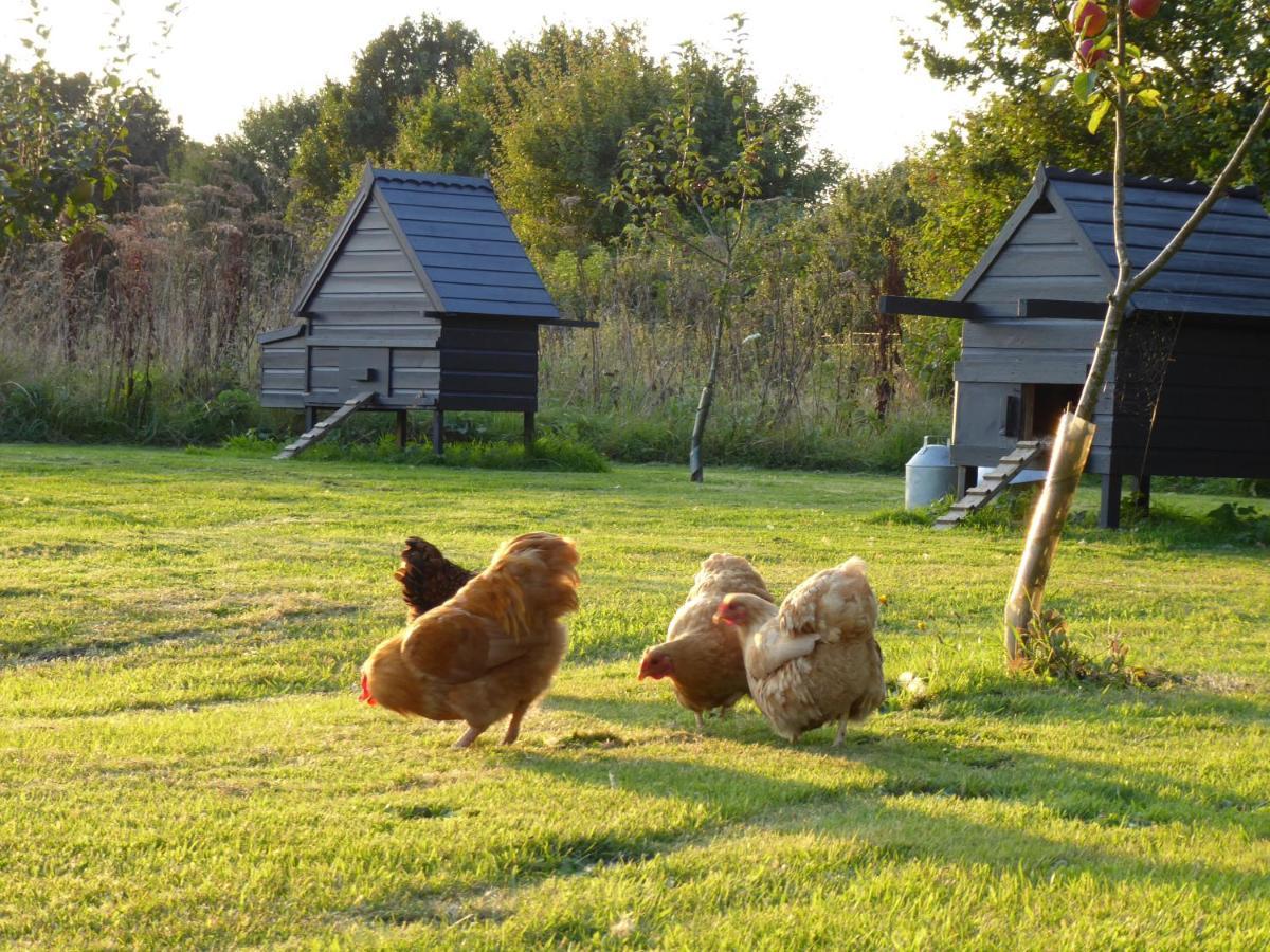 The Oaks Glamping - Magpie Half Shepherds Hut Hotell Colkirk Eksteriør bilde
